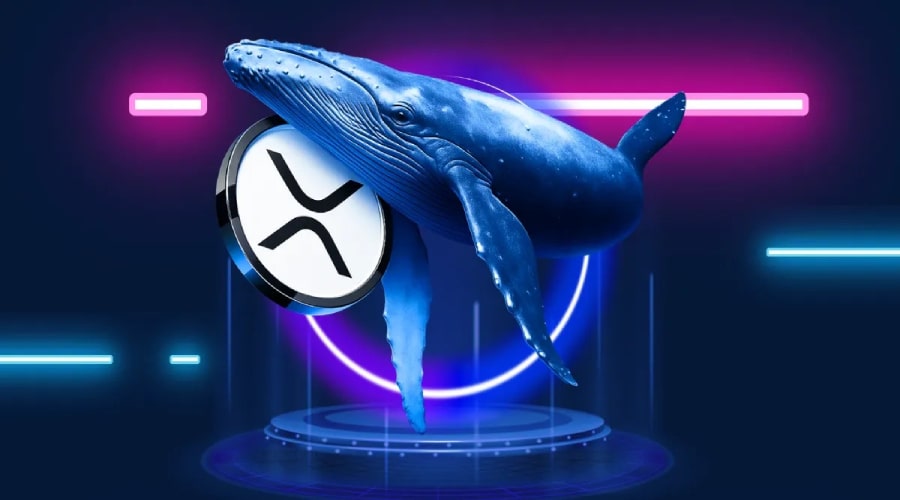 ریسک پنهان در بازار ریپل؛ آیا نهنگها قیمت XRP را دستکاری میکنند